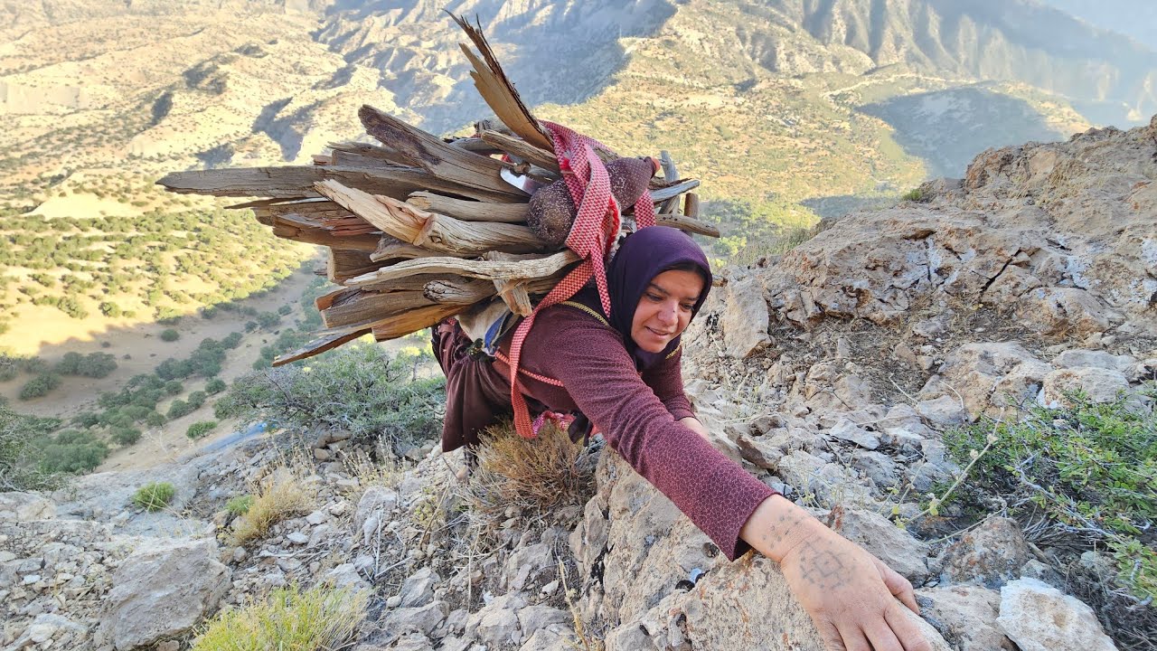 Kulthum's Breathtaking Adventure ⛰️🔥: 🌲 In Search of Firewood in the Heart of Dangerous Mountains!