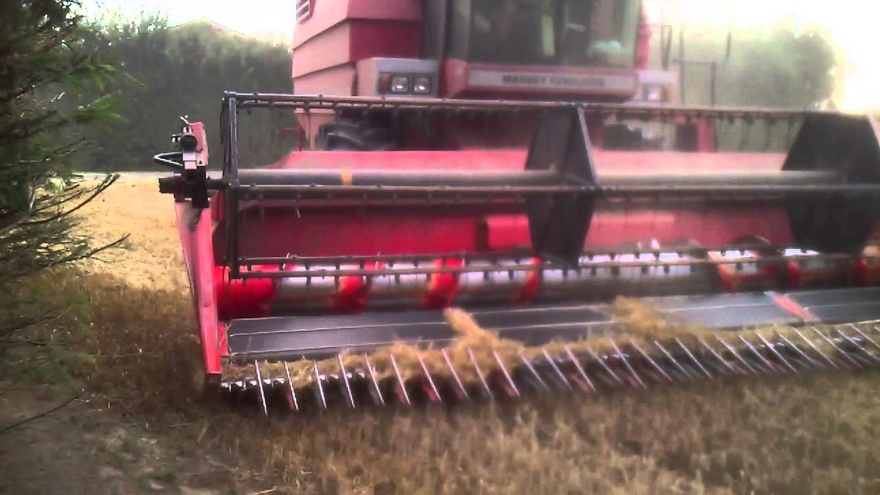 Mejetærsker massey ferguson 36
