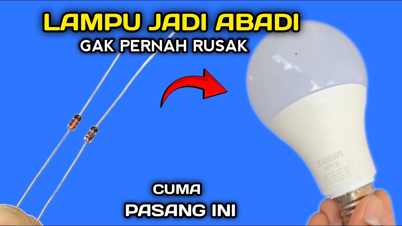 JIKA SEMUA ORANG TAU INI PABRIK LAMPU LED BANGKRUT...!!