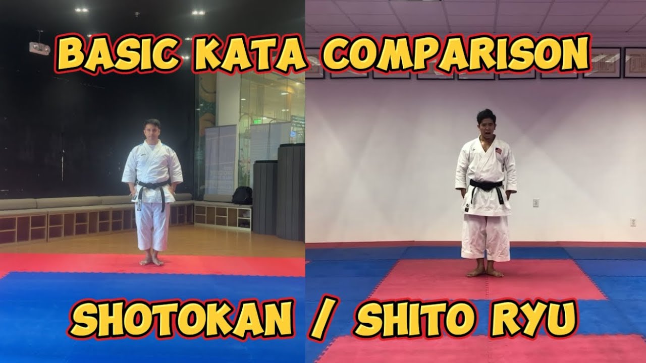 Comparing Basic Kata: Shotokan vs Shito Ryu (with @gakutoro.karate)