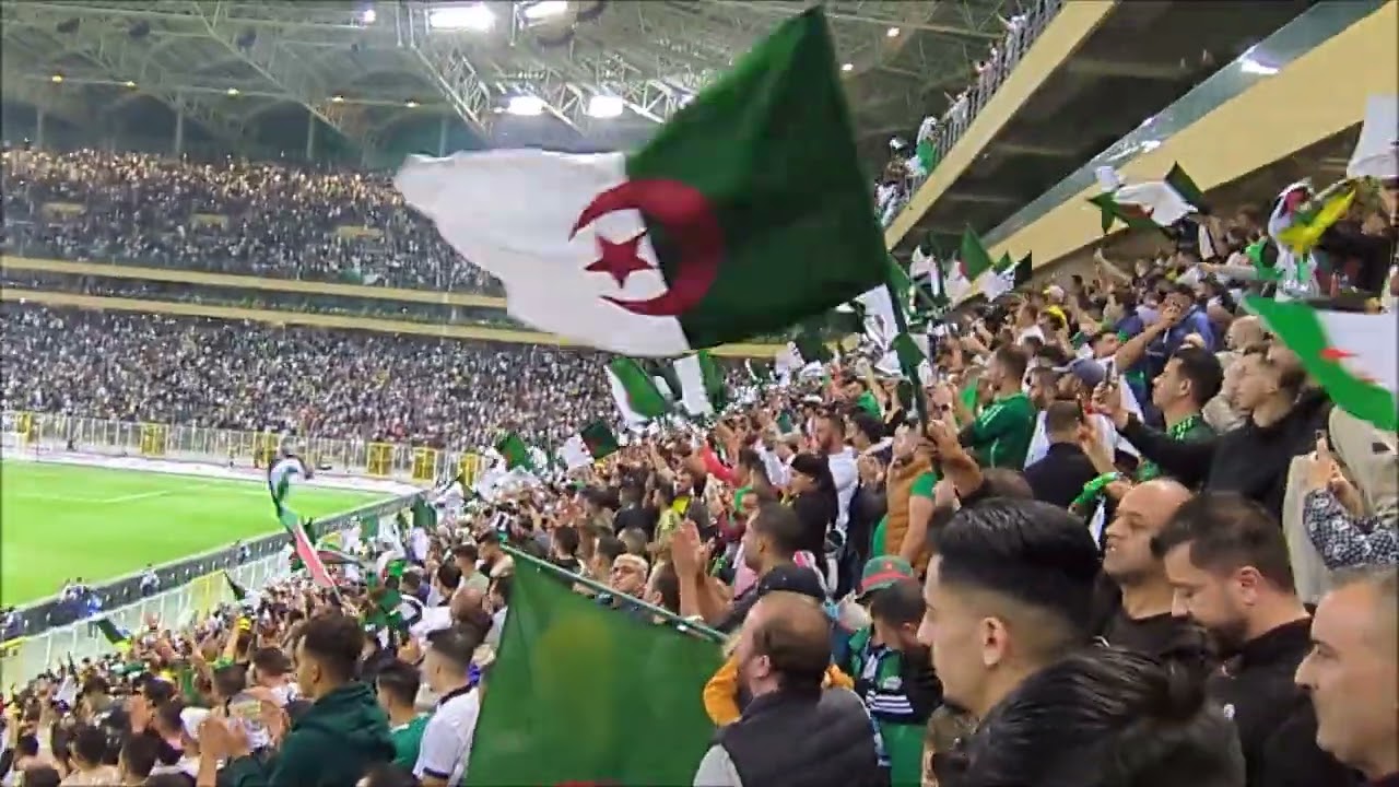 Algeria - Liberia : (23) After match (Algerian fans) Qualification CAN 2025