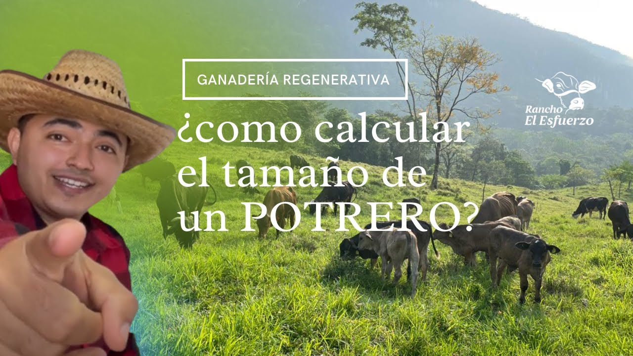 TAMAÑO DE LOS POTREROS  I Rancho el Esfuerzo