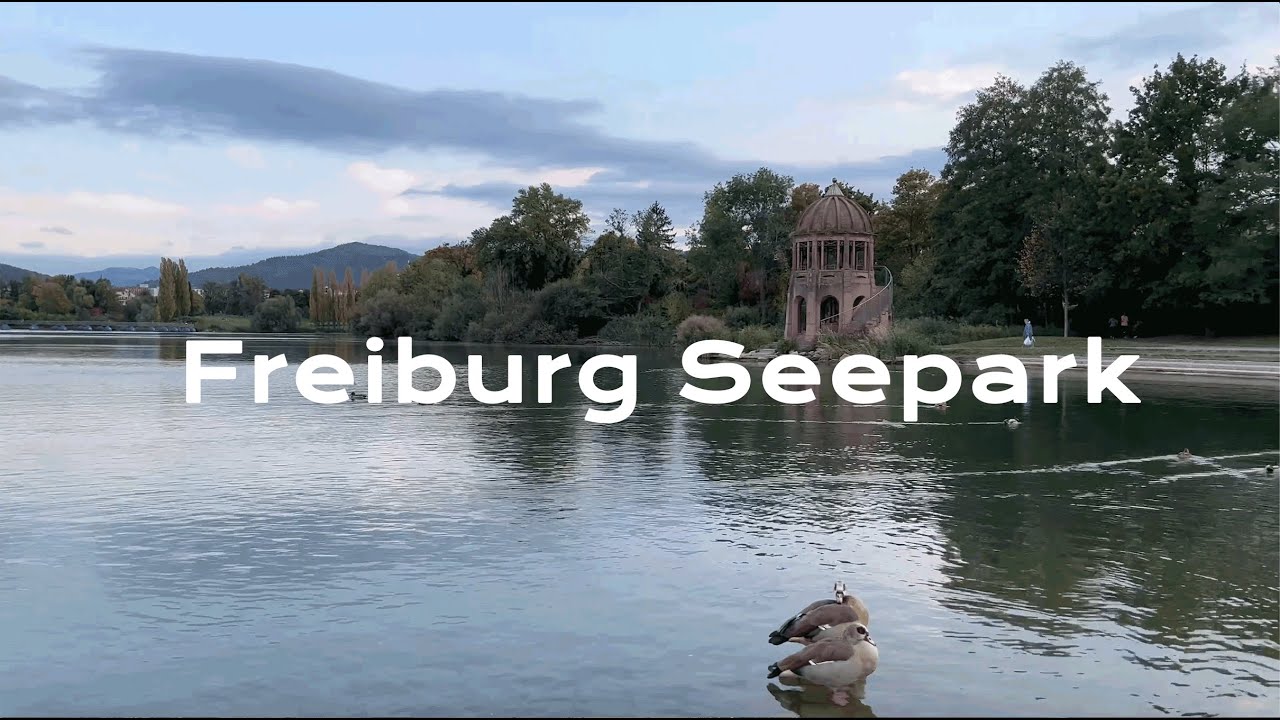 [4K] Walking in Freiburg Seepark / Yürüyüş