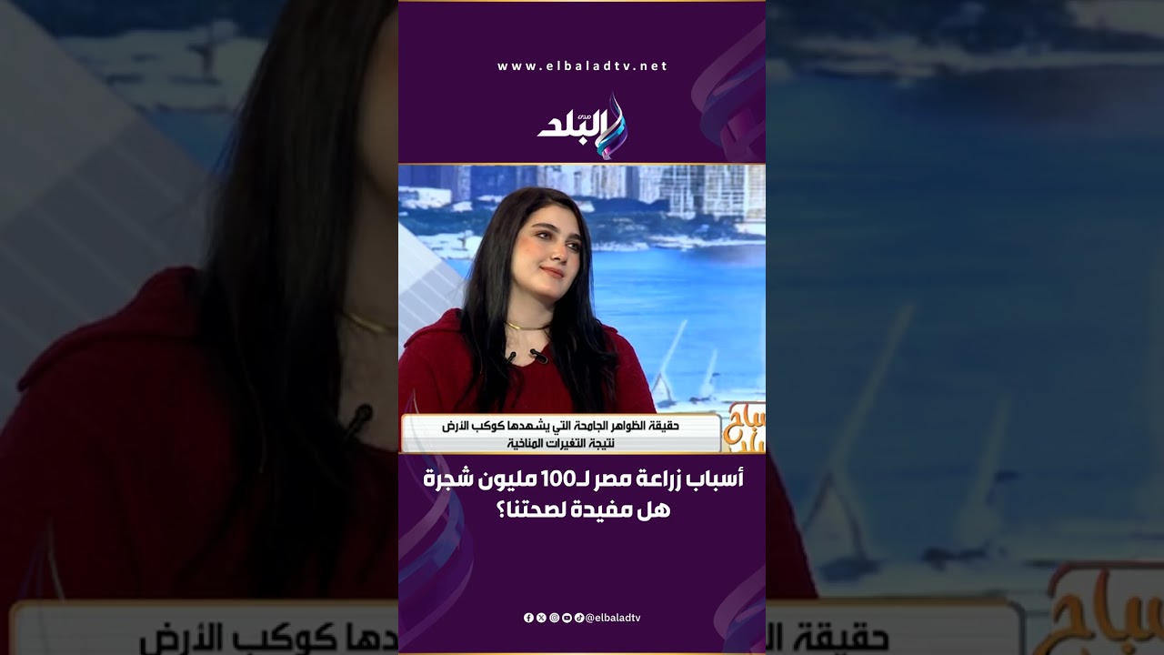 أسباب زراعة مصر لـ100 مليون شجرة.. هل مفيدة لصحتنا؟
