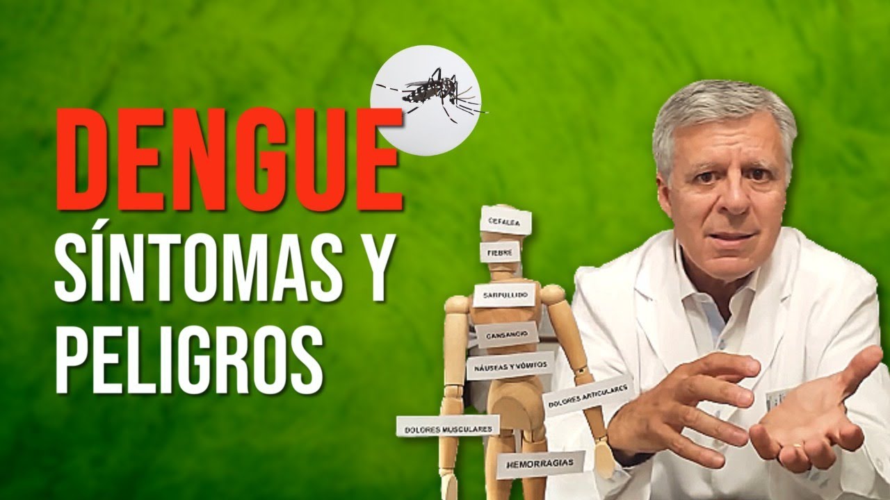 DENGUE, s&iacute;ntomas y peligros