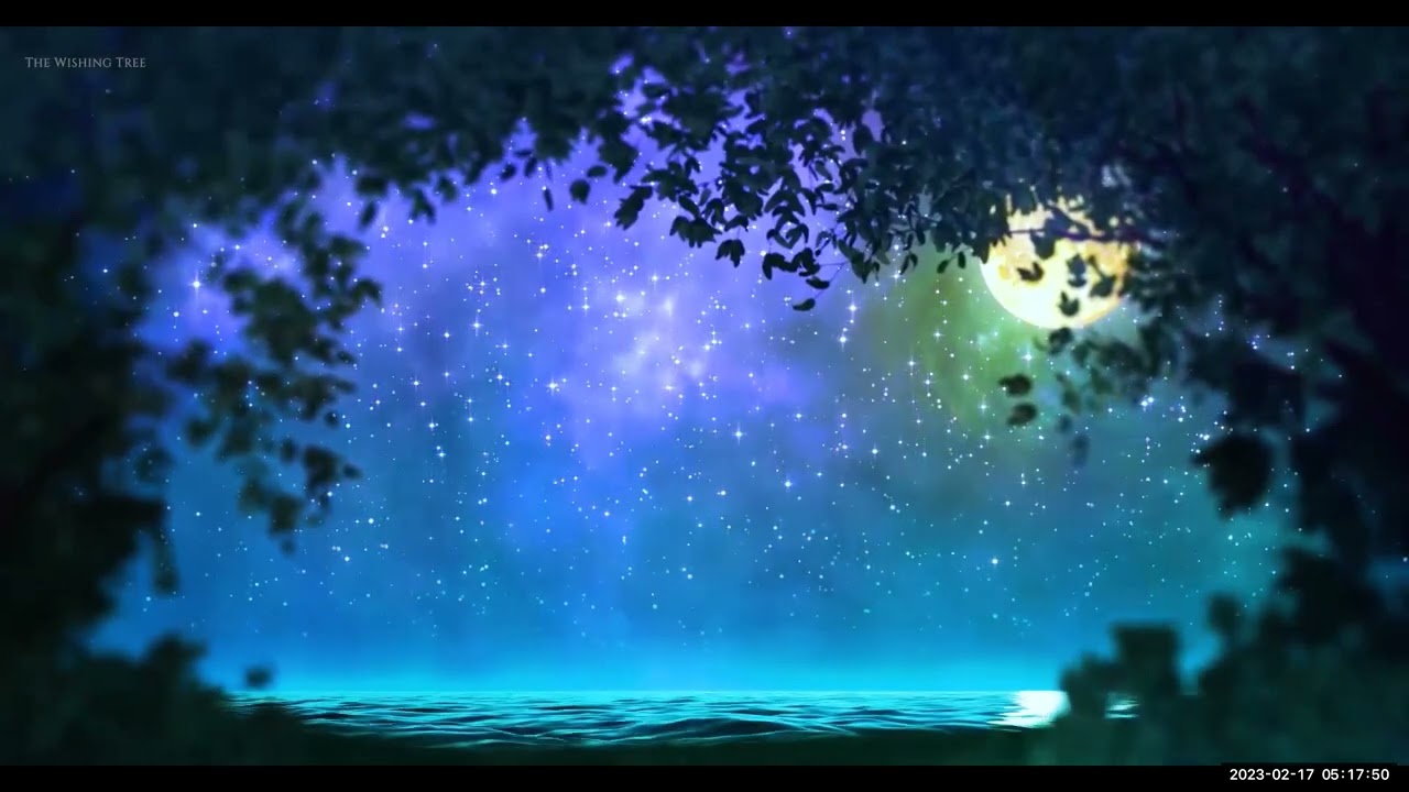 PASO 11 CONTACTO CONSCIENTE CON DIOS  ORACION   MEDITACION
