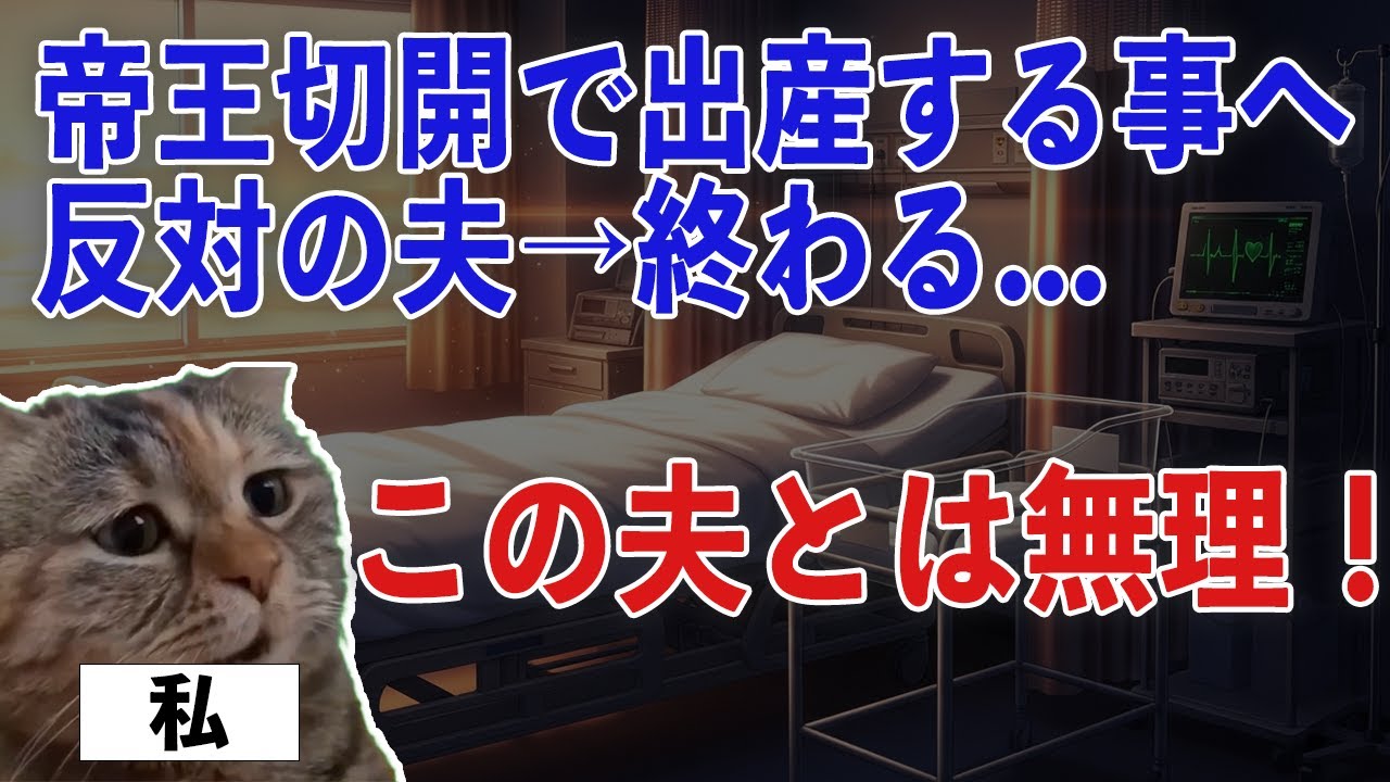【スカッと猫ミーム】帝王切開で出産することに反対してしまった夫→すべてを失ってしまう...