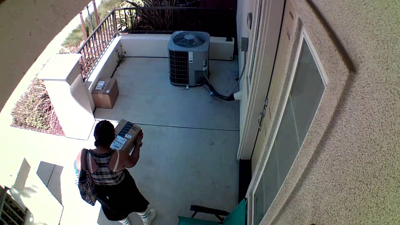 Blink Home Security Camera Catches Package Thief