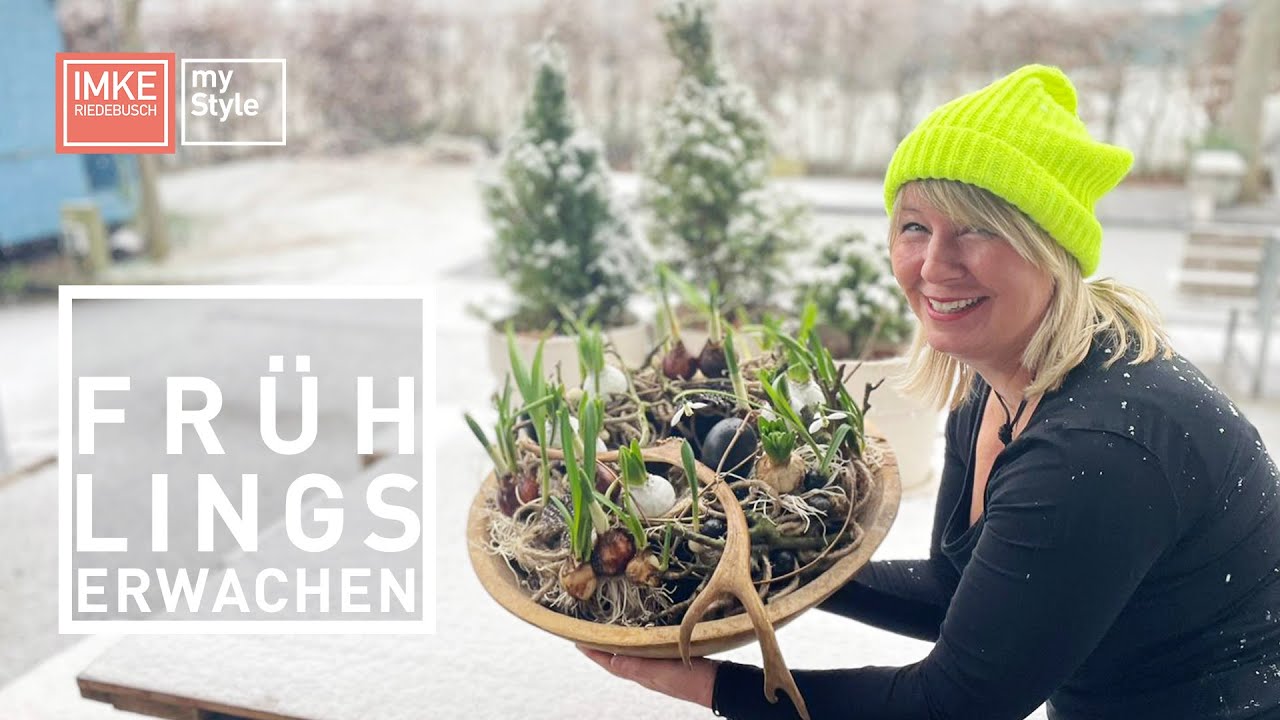 Frühlingserwachen | Nordstil Imke Riedebusch
