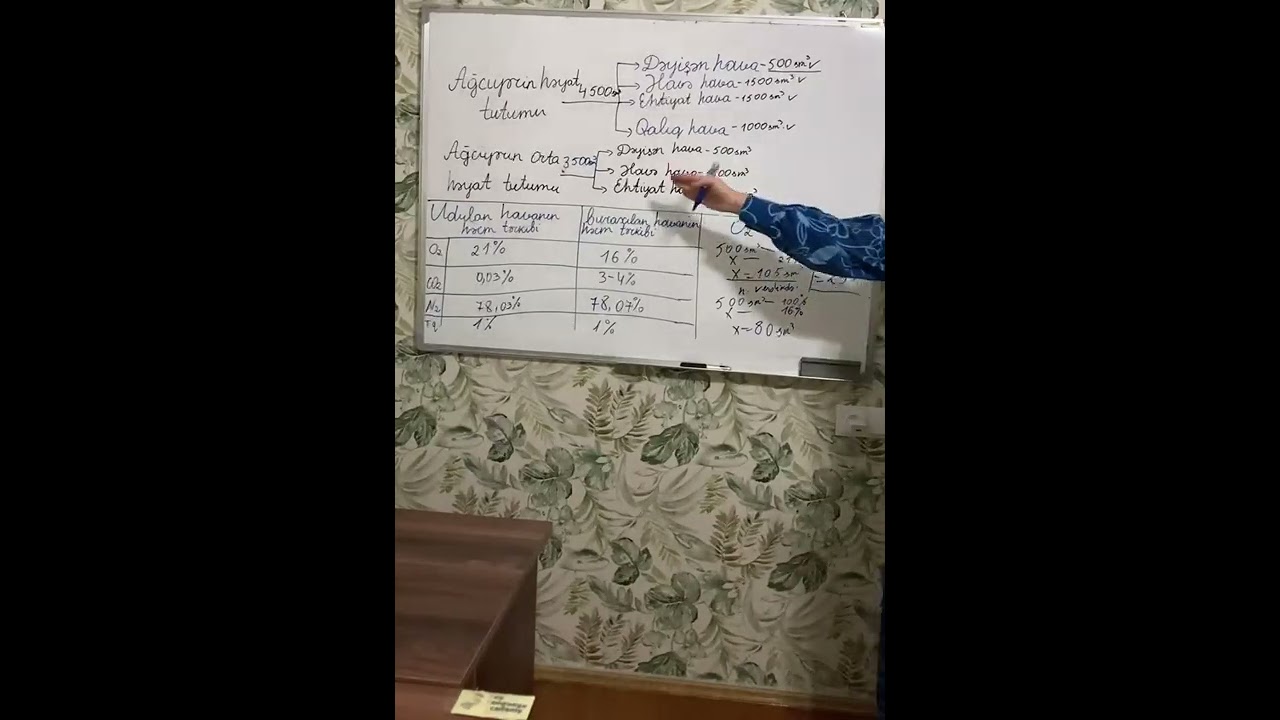 Tənəffüs sisteminə aid məsələ həlli ,yeni başlayanlar üçün