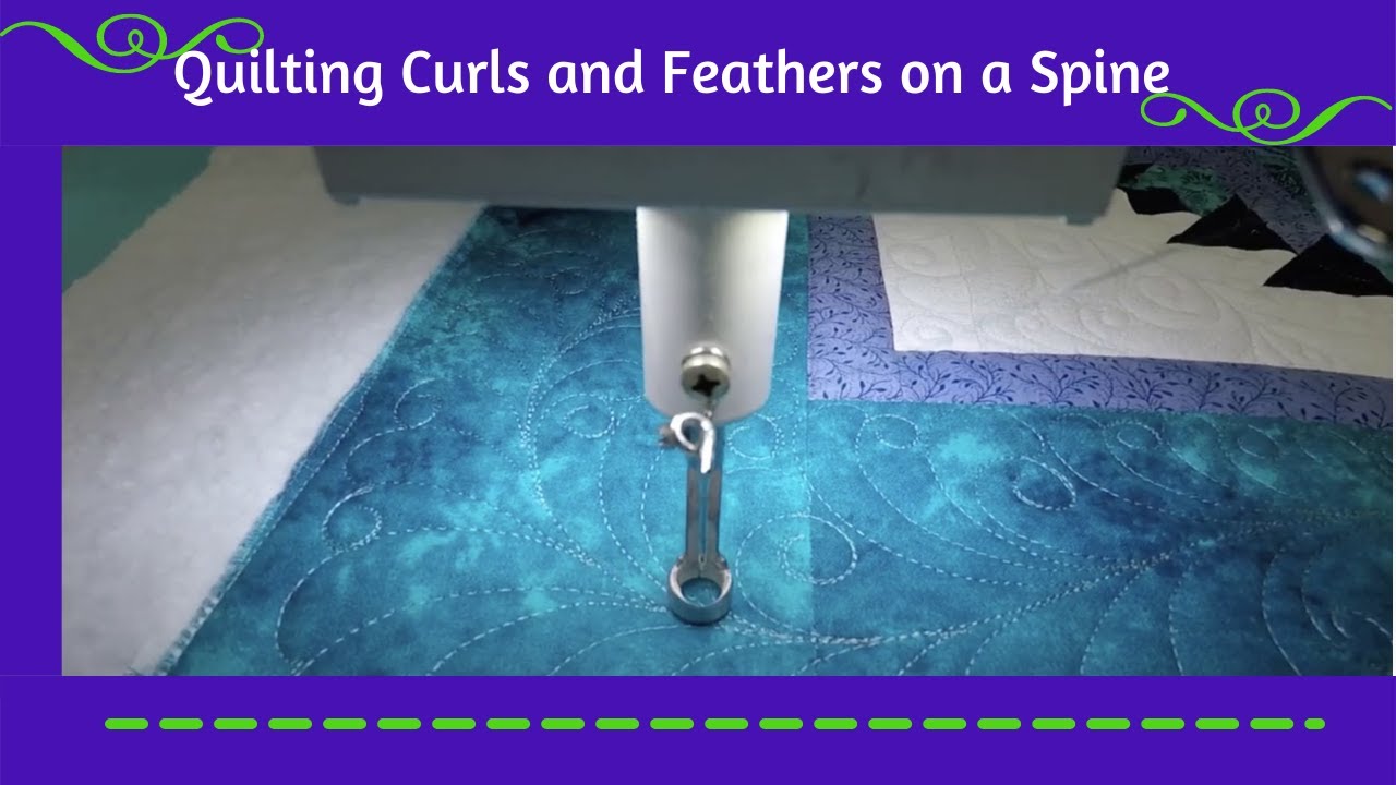 Free motion Curly feather border design