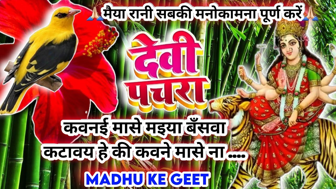 #Video पारम्परिक देवी पचरागीत-Devi geet|कवनई मासे मइया बँसवा कटावय हे की|Pachrageet|नवरात्रि स्पेशल