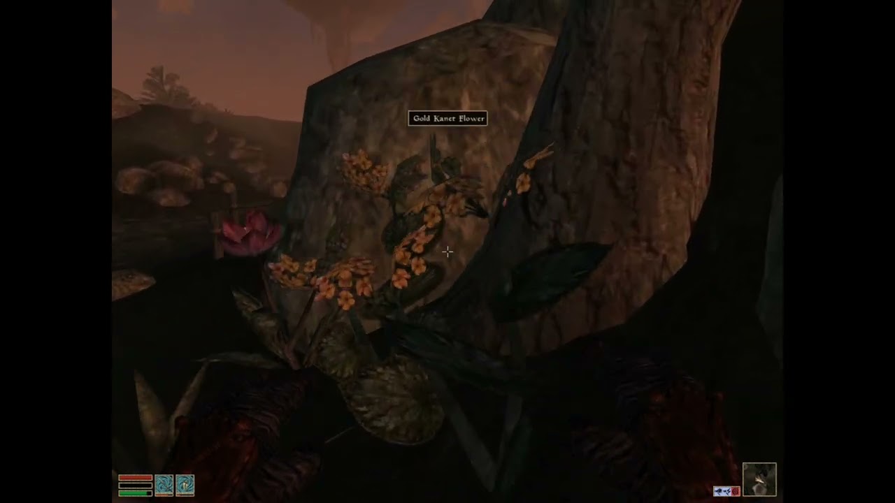 The Elder Scrolls III: Morrowind (+Tri+BlMn)[PC (Cr)XLP] ep 4: Endurance Points pt 8