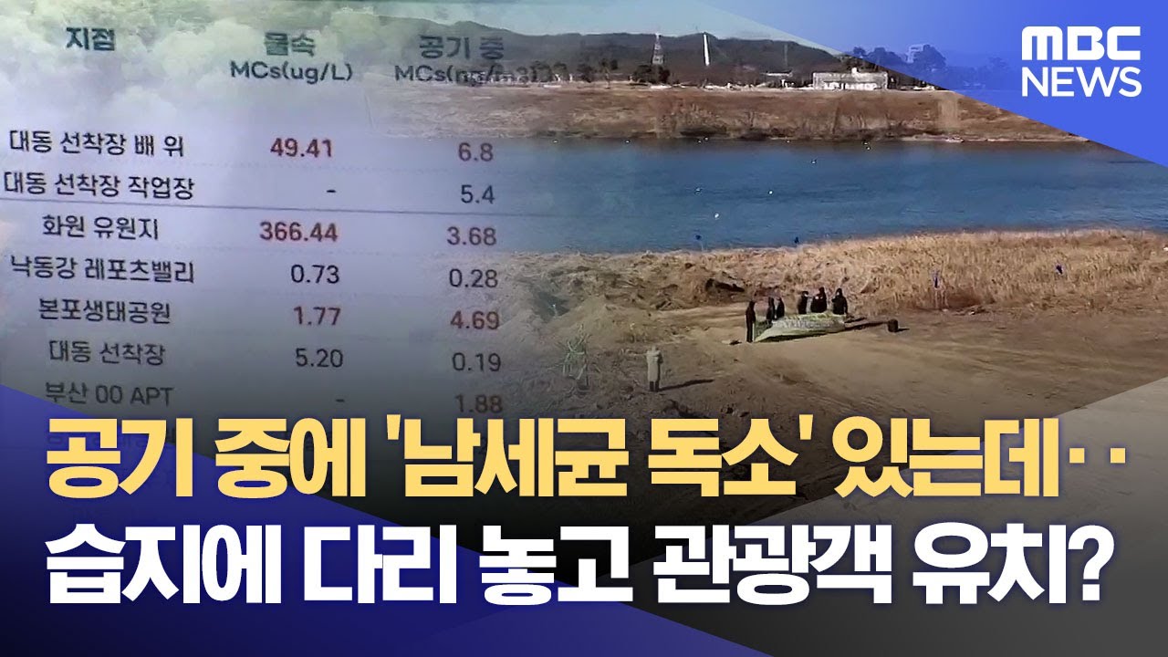 '남세균 독소' 떠다니는 곳인데‥'관광 명소화 사업' 강행하는 대구시 (2025.03.24/뉴스데스크/대구MBC)