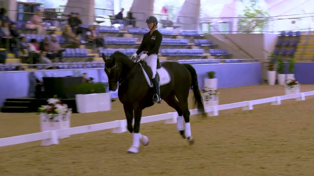 FEI Masterclass Intermediate A Demonstration.  Rider Jodie Dunstan on Hollands Bend Highlander
