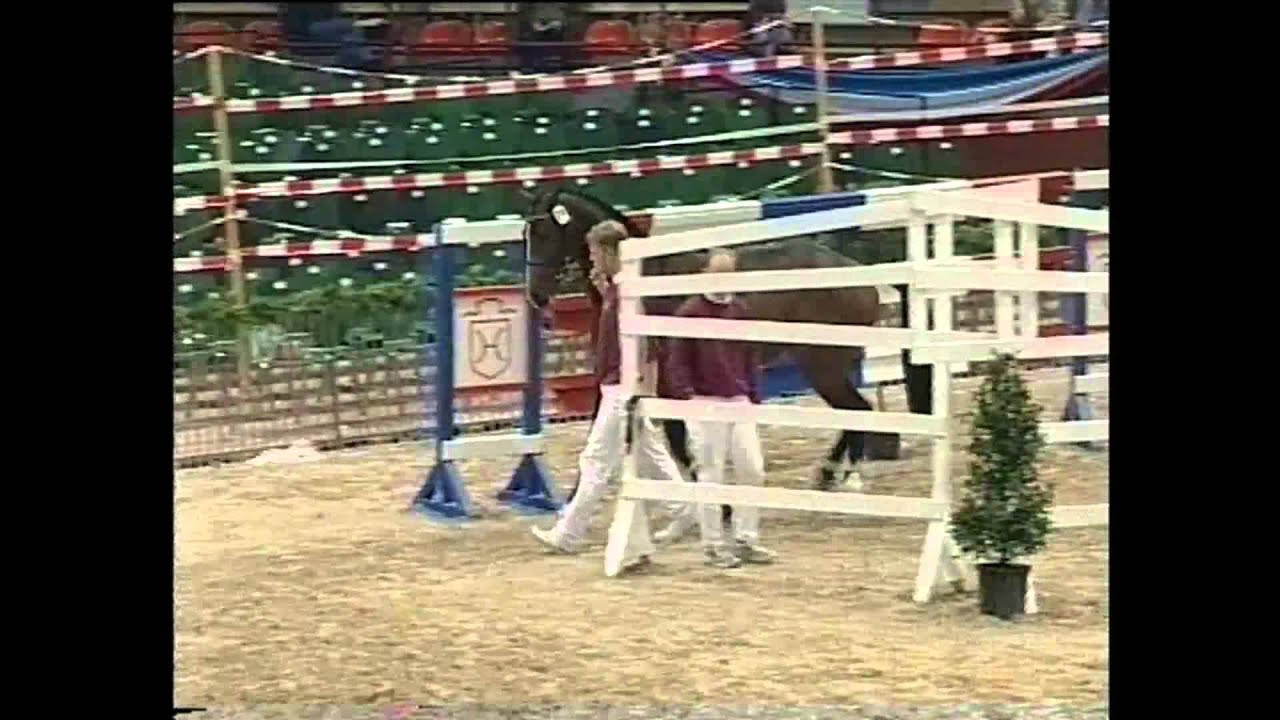 Casall Freispringen Körung