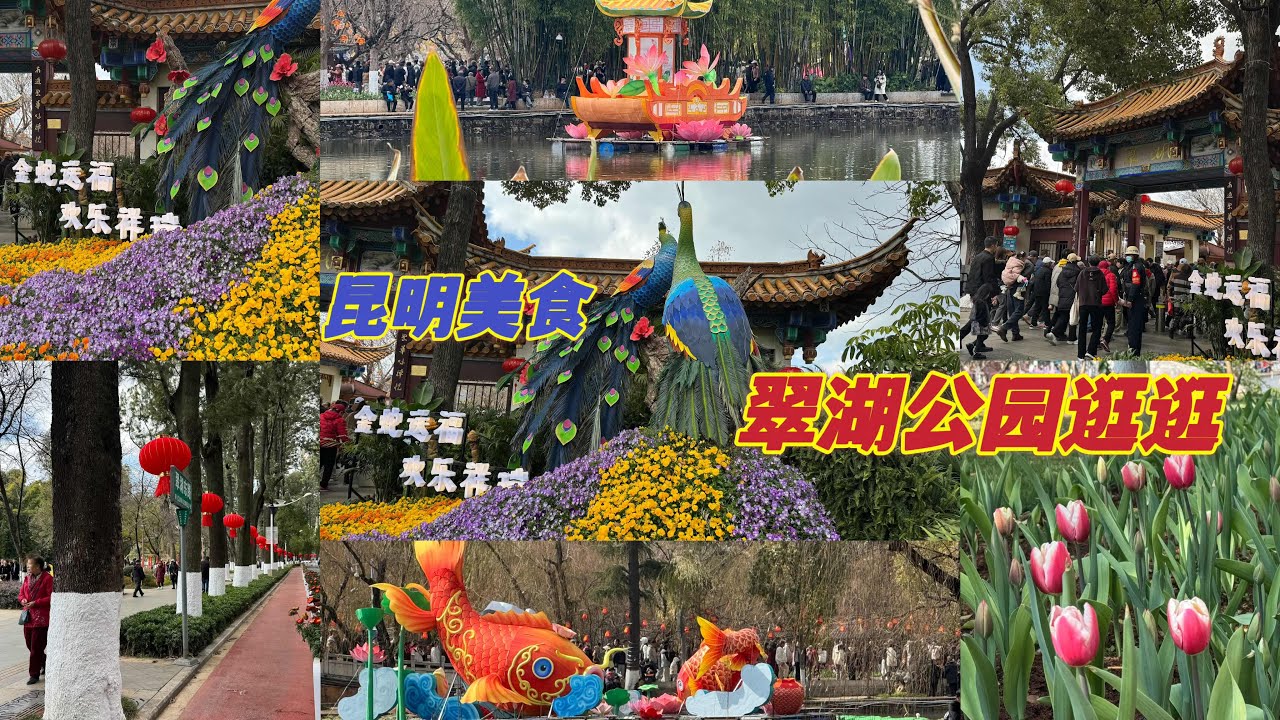 昆明翠湖公园这里人山人海🥳我们在这里逛逛了几个小时感觉了人山人海的翠湖