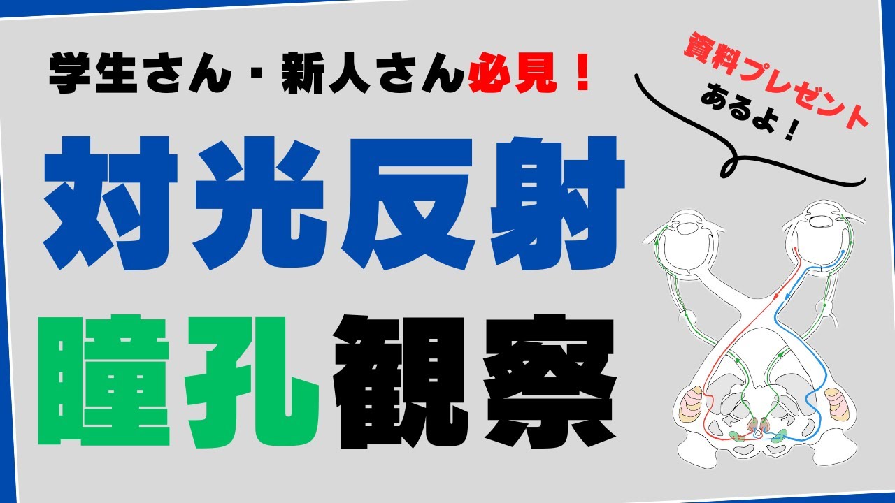対光反射と瞳孔所見