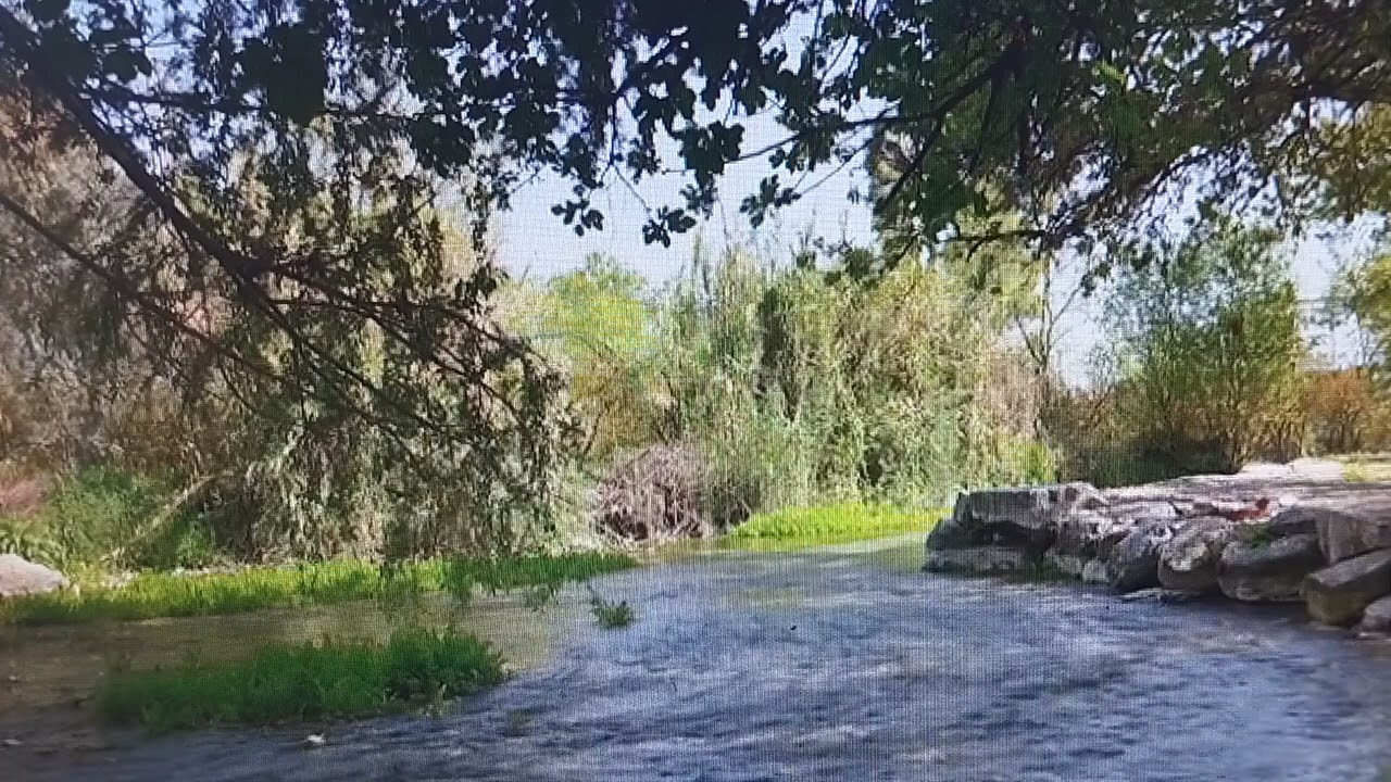 kırmızı gül