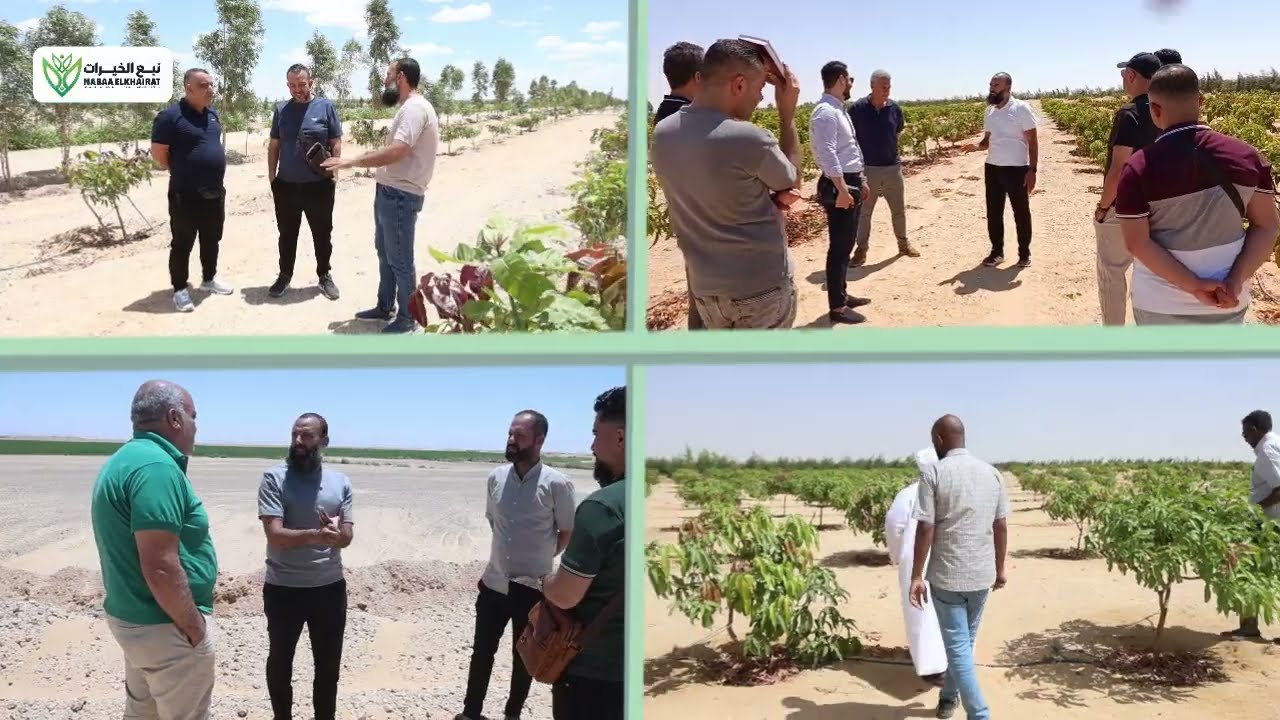 شاهد رأي وانبهار وفود ووزراء الدول في أكبر مزرعة مانجو علي أرض مصر مستني ايه عشان تكون أحد المساهمين