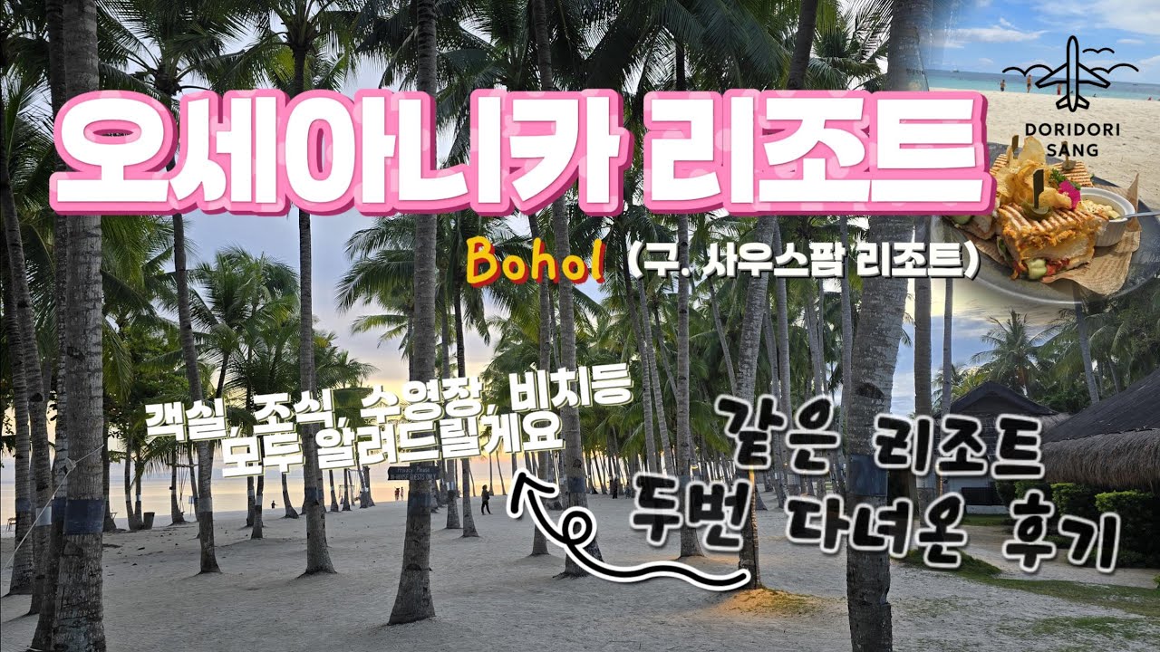 보홀 오세아니카(사우스팜) 리조트 갈까말까 고민된다면? [리조트 객실정보/디럭스오션뷰/조식/수영장/비치/수중환경등 모두 알려드립니다]