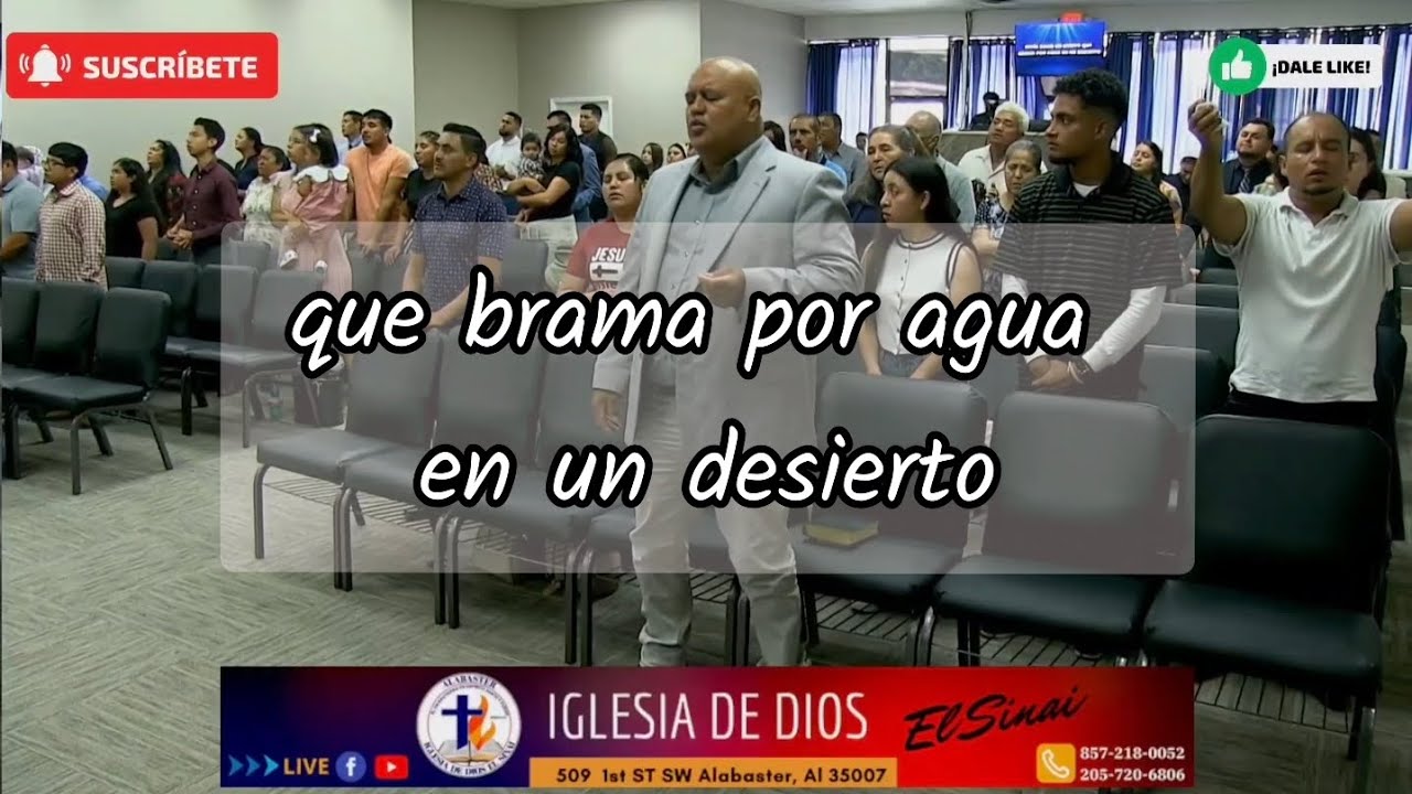 QUE SERIA DE MI 