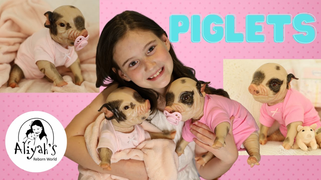 *REBORN PIGLETS*