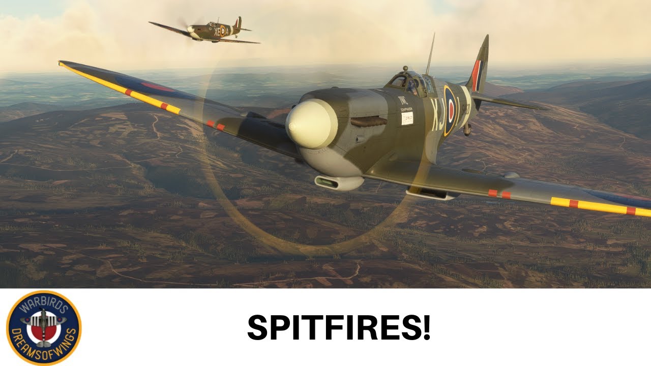 Microsoft Flight Simulator Multiplayer Spitfire Pair - FlyingIron L.F Mk IXc & Aeroplane Heaven MkIa