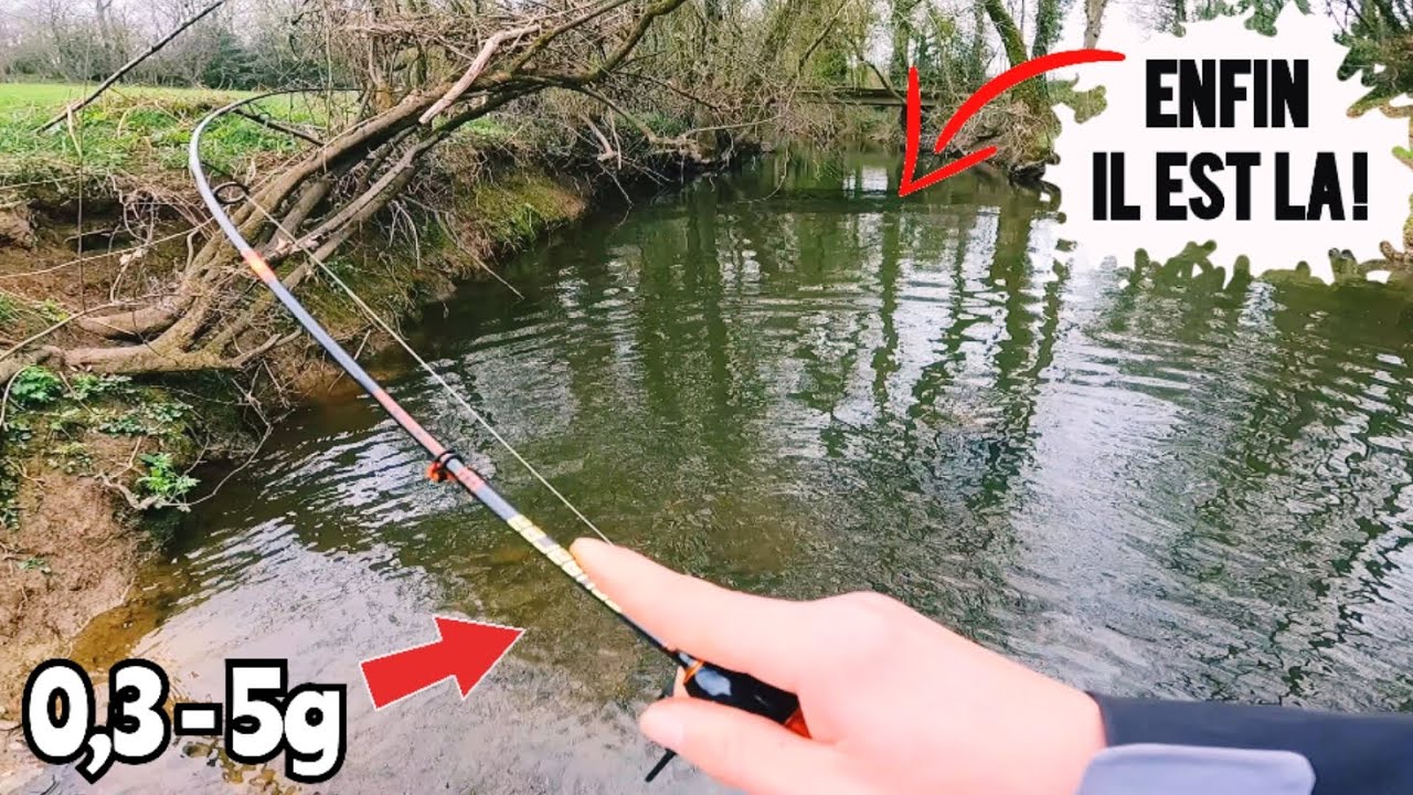 LA P&Ecirc;CHE au VER r&eacute;serve de belles surprises ! (Ma strat&eacute;gie sur cette session express en rivi&egrave;re )
