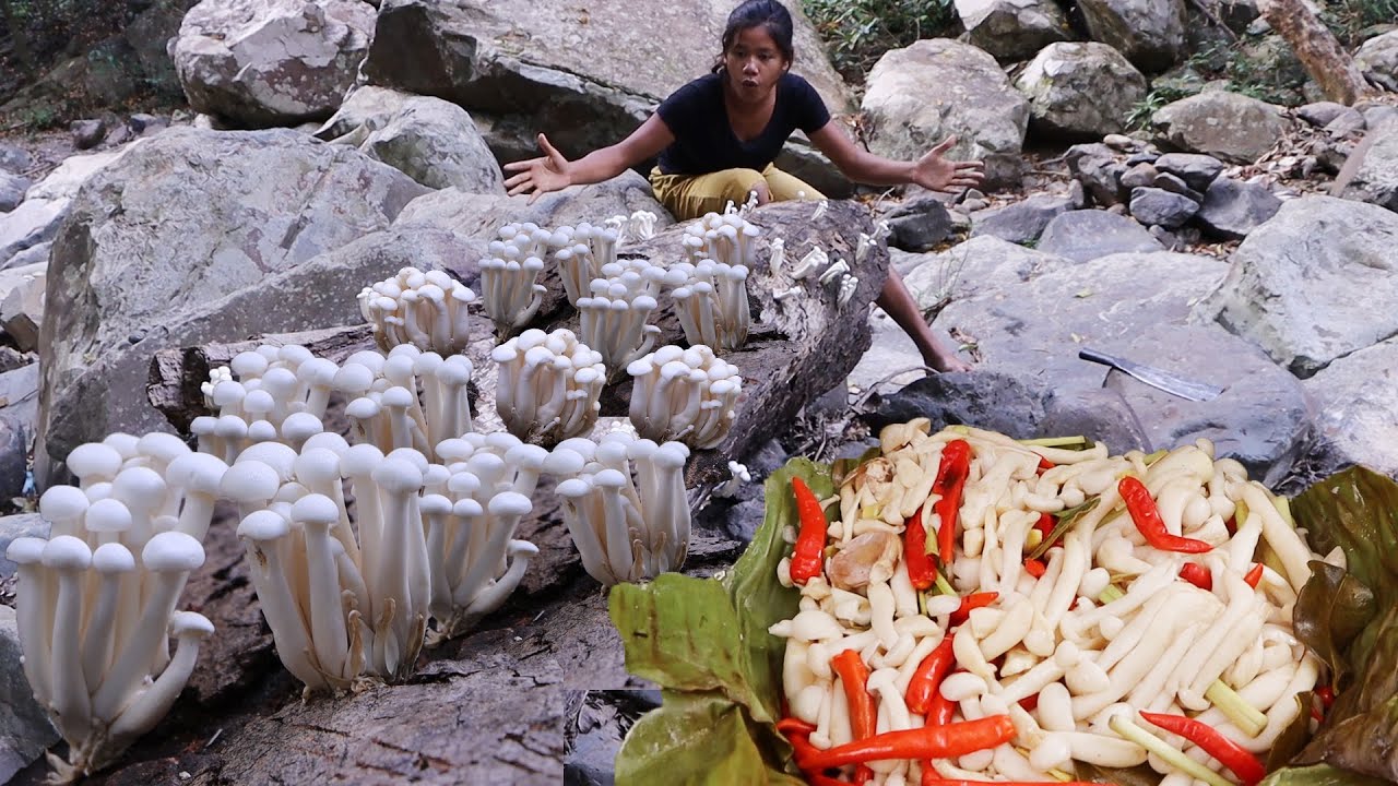 Survival skills: Find meet Mushroom plant for food- Grilled mushroom with Chili for Eating delicious