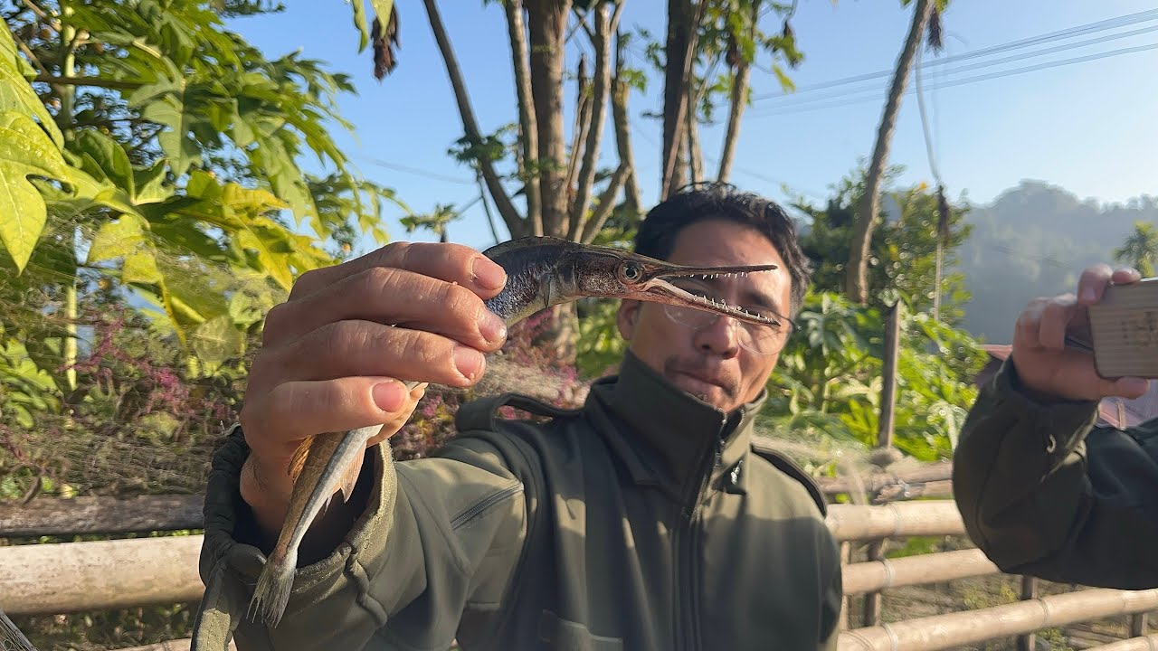 Traditional fishing 🎣 methods at Rotte village 