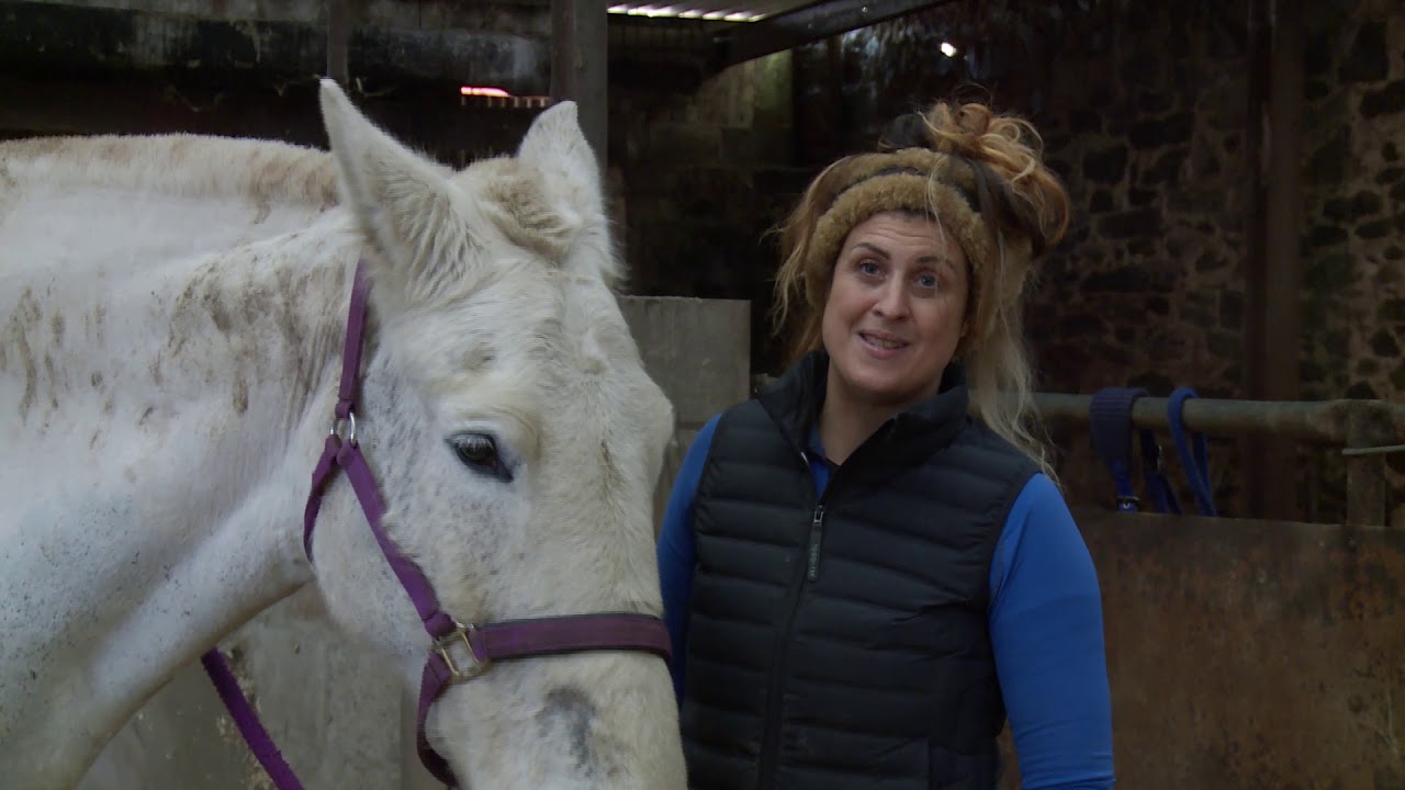 Borders riding school speaks out over lack of support