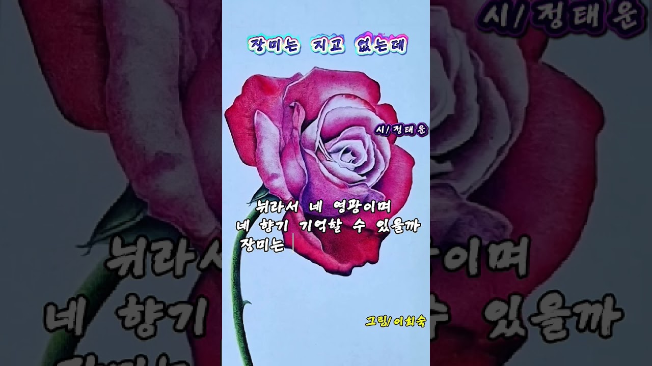 #장미는지고없는데 / 정태운 🌹#작곡:AI 노래:AI🌹#영상편집:정종화🌹 #1일1시시인ㆍ사랑시인 #구독ㆍ좋아요 
