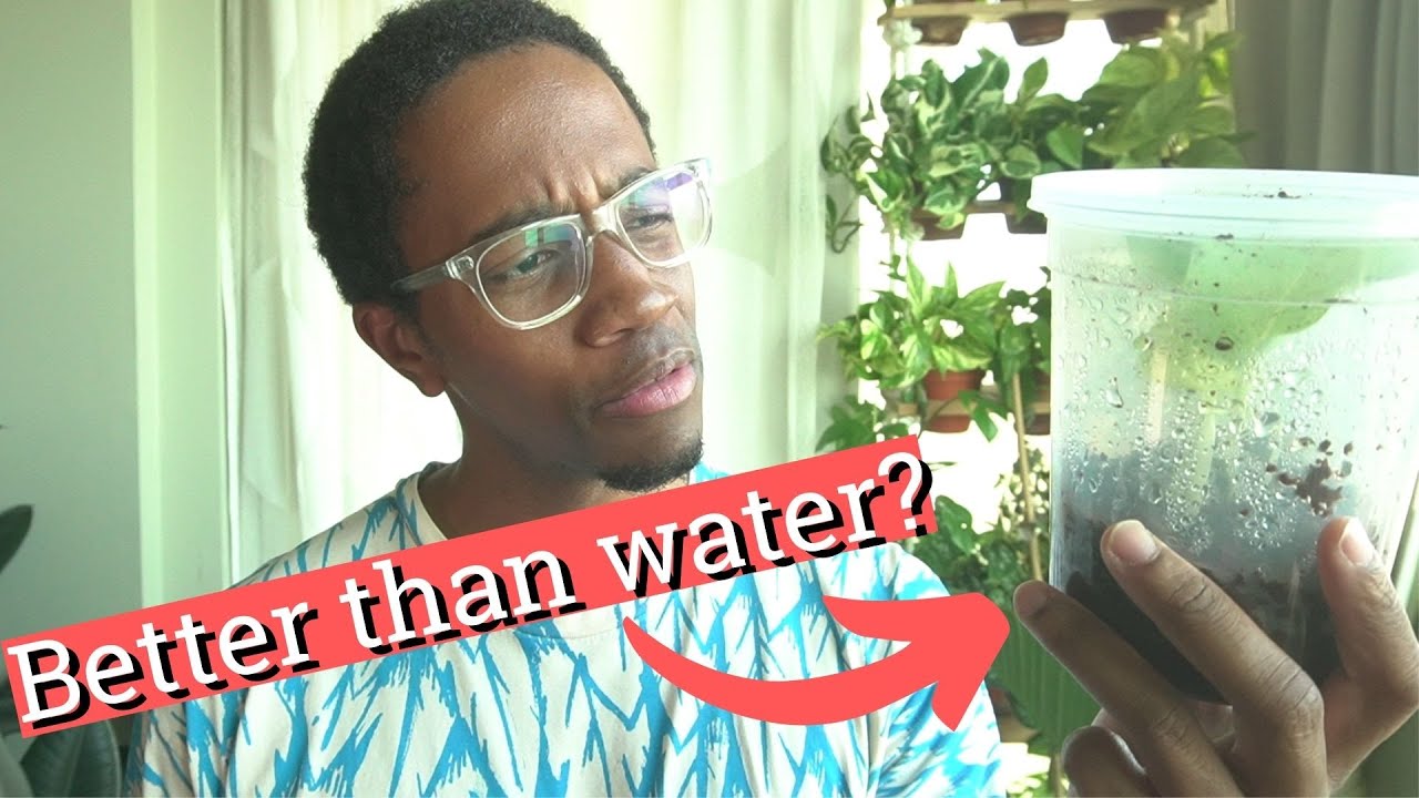 Faster Plant Propagations with Coco Coir