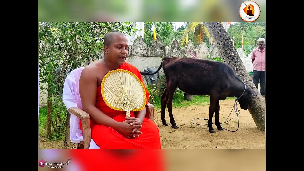 අභයදාන පින්කම 03 | Abaya Danaya 03