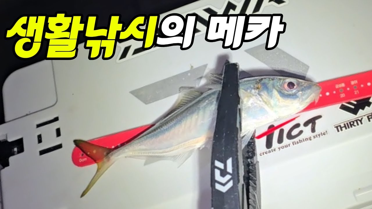 겨울에도 입질이 끊기지 않는 최고의 생활 낚시터 !