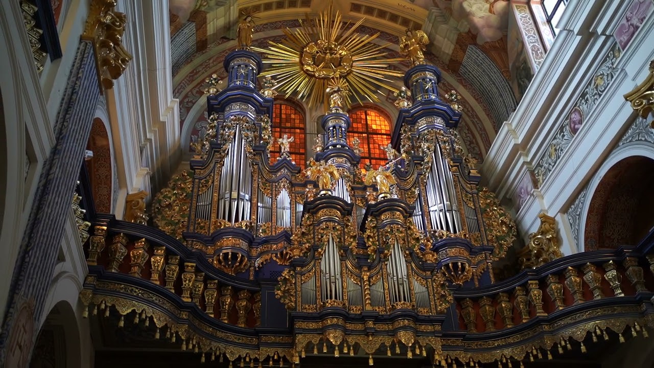 Organy Święta Lipka- koncert