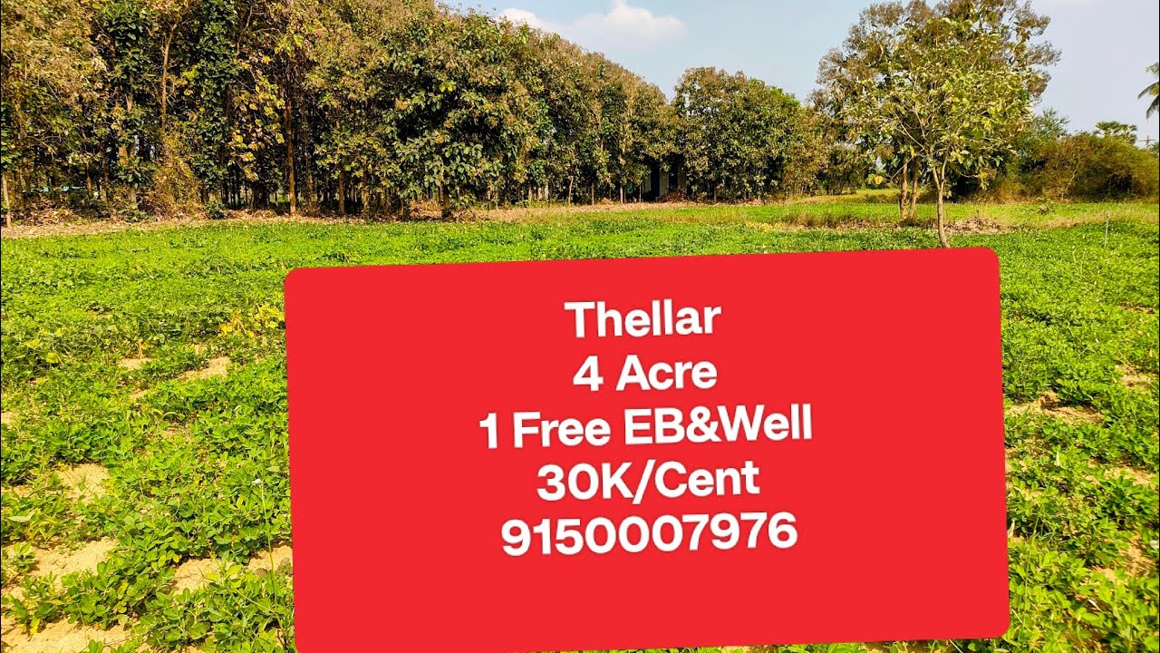 No:103 Agriculture Land 4 Acre For Sale Near Thellar | 9150007976