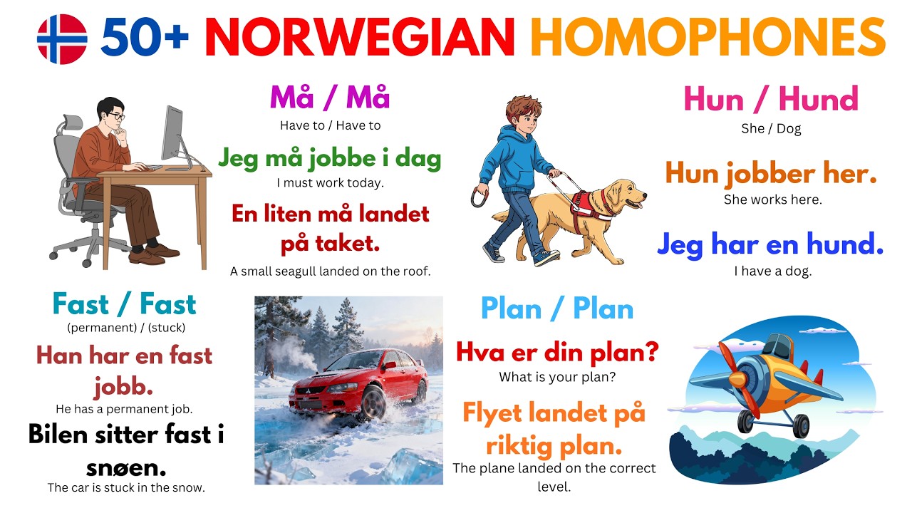 100 Norske Homofoner Du MÅ Kunne! 🇳🇴 | Vanlige Feil i Norsk A2–B1