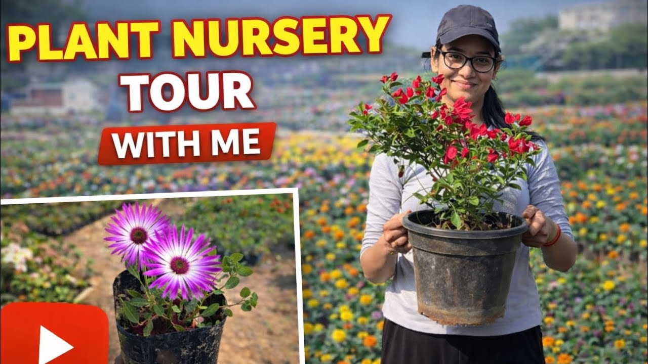 *Valentine ❤️ to Shivratri 🙏 | Beautiful Plant Nursery Tour 🌿 Full Nature Vibes*