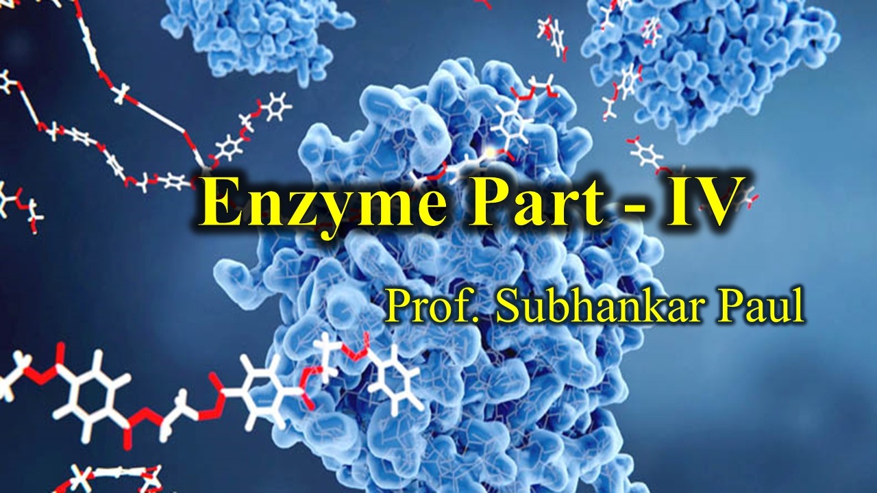 Structural Biology Lecture 16 II Enzyme Part 4