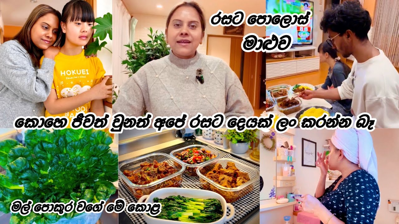දවස් දෙකක 🥰| Life in japan 🇯🇵🇱🇰