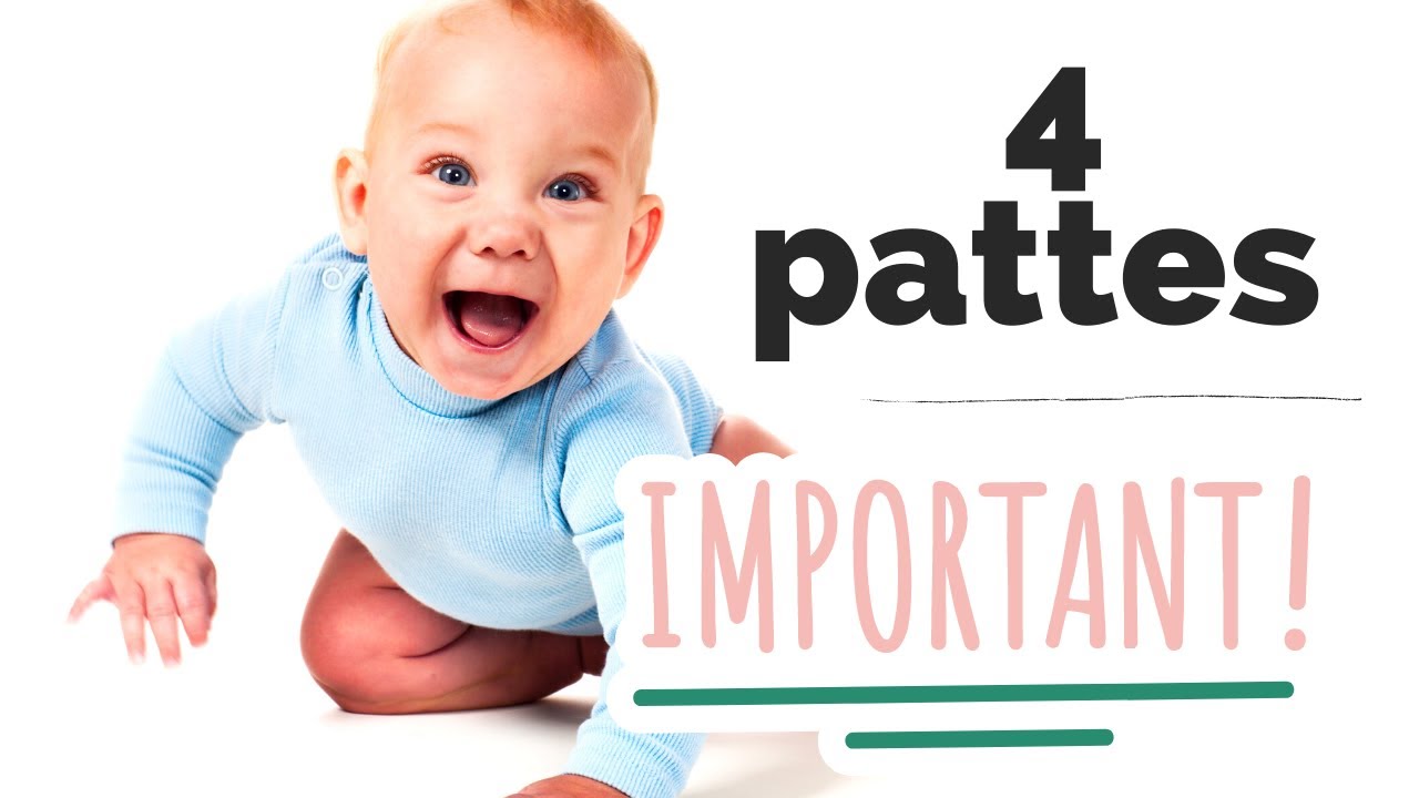 Comment encourager/apprendre le 4 pattes ?