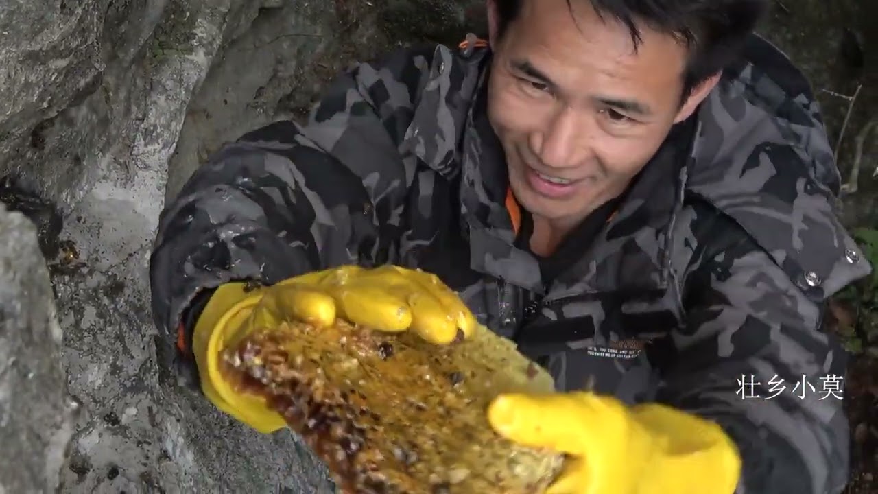 山顶上的蜜蜂窝资源真好，小莫掏出来满满一桶蜂蜜，大卖一千多