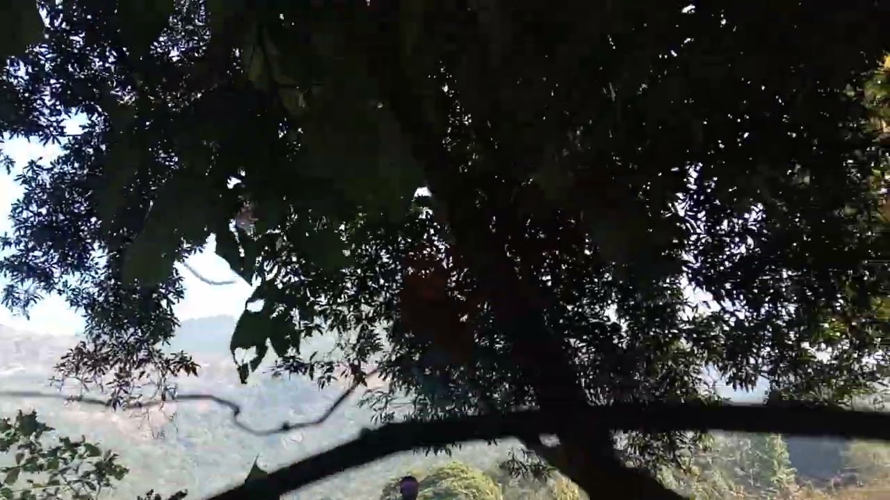 new year party in kamala bar 🤘(2)