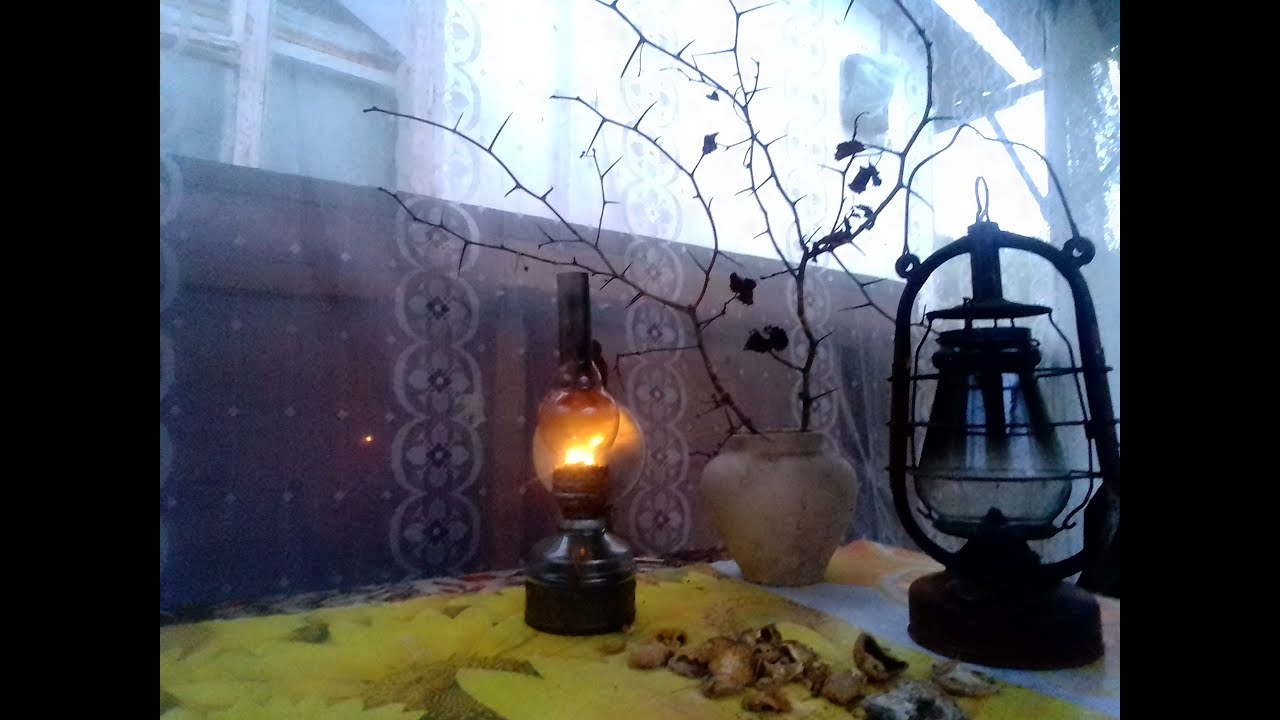 Пьяний нічний метелик