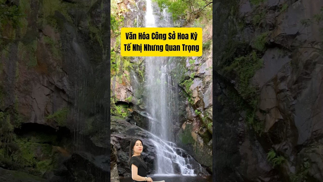 Văn h&oacute;a c&ocirc;ng sở Mỹ, tế nhị nhưng quan trọng #vănh&oacute;aMỹ #vieclamMỹ #cuộcsốngMỹ