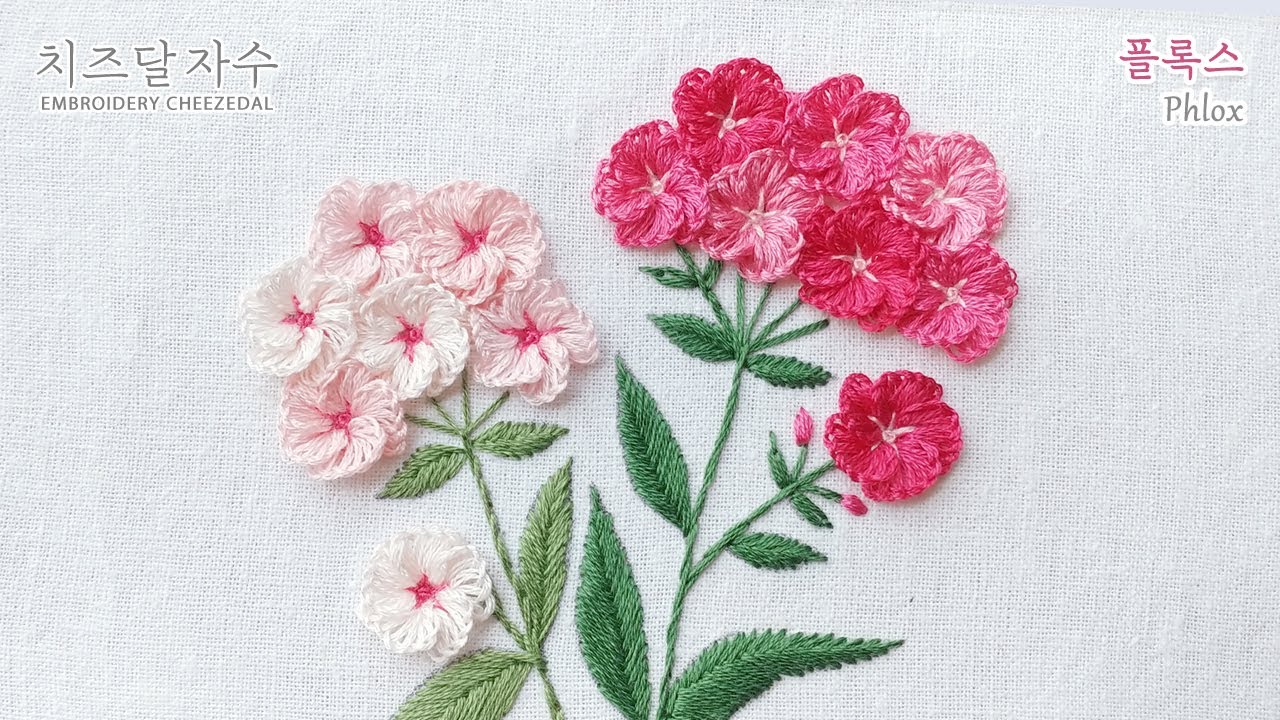 [CC] 플록스, 풀협죽도,  phlox