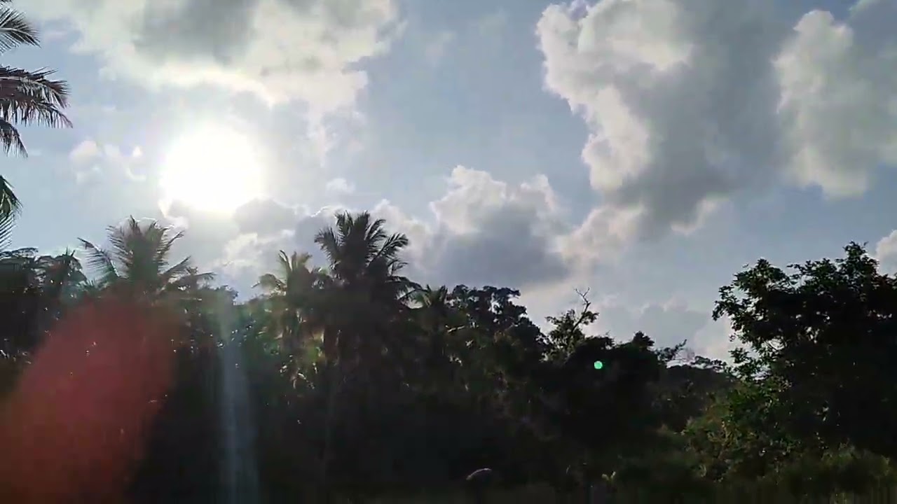 backyard vlog 2022