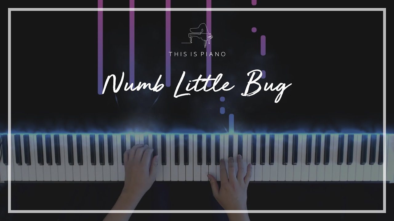 Em Beihold | Numb Little Bug | 피아노 커버